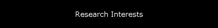 Research Interests