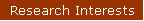 Research Interests